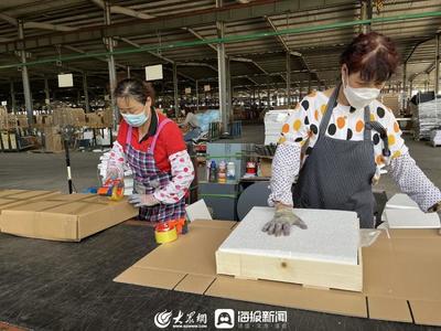 濰坊壽光羊口鎮(zhèn) 一張逆勢增長“成績單”的背后——經(jīng)營電子商務(wù)的智慧與路徑