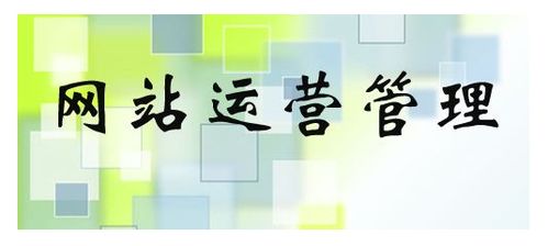 電子商務(wù)網(wǎng)站運(yùn)營(yíng) 核心要素與關(guān)鍵注意事項(xiàng)