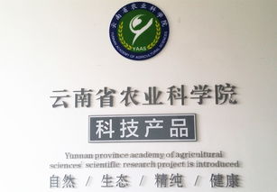 云南省農(nóng)業(yè)科學(xué)院科技產(chǎn)品電子商務(wù)營(yíng)銷中心成立 開啟科技興農(nóng)新篇章