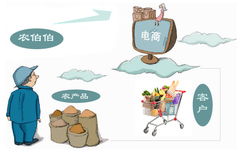 農(nóng)產(chǎn)品電子商務(wù)經(jīng)營(yíng)模式創(chuàng)新與挑戰(zhàn)